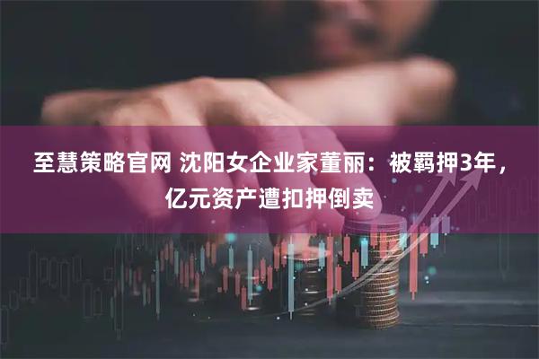 至慧策略官网 沈阳女企业家董丽：被羁押3年，亿元资产遭扣押倒卖