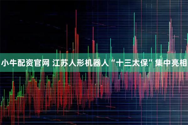 小牛配资官网 江苏人形机器人“十三太保”集中亮相