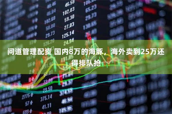 问道管理配资 国内8万的海豚，海外卖到25万还得排队抢
