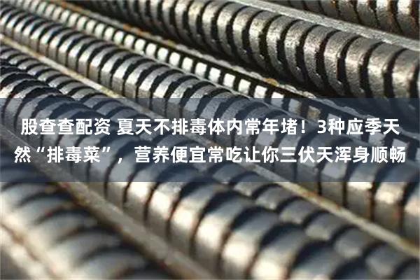 股查查配资 夏天不排毒体内常年堵！3种应季天然“排毒菜”，营养便宜常吃让你三伏天浑身顺畅